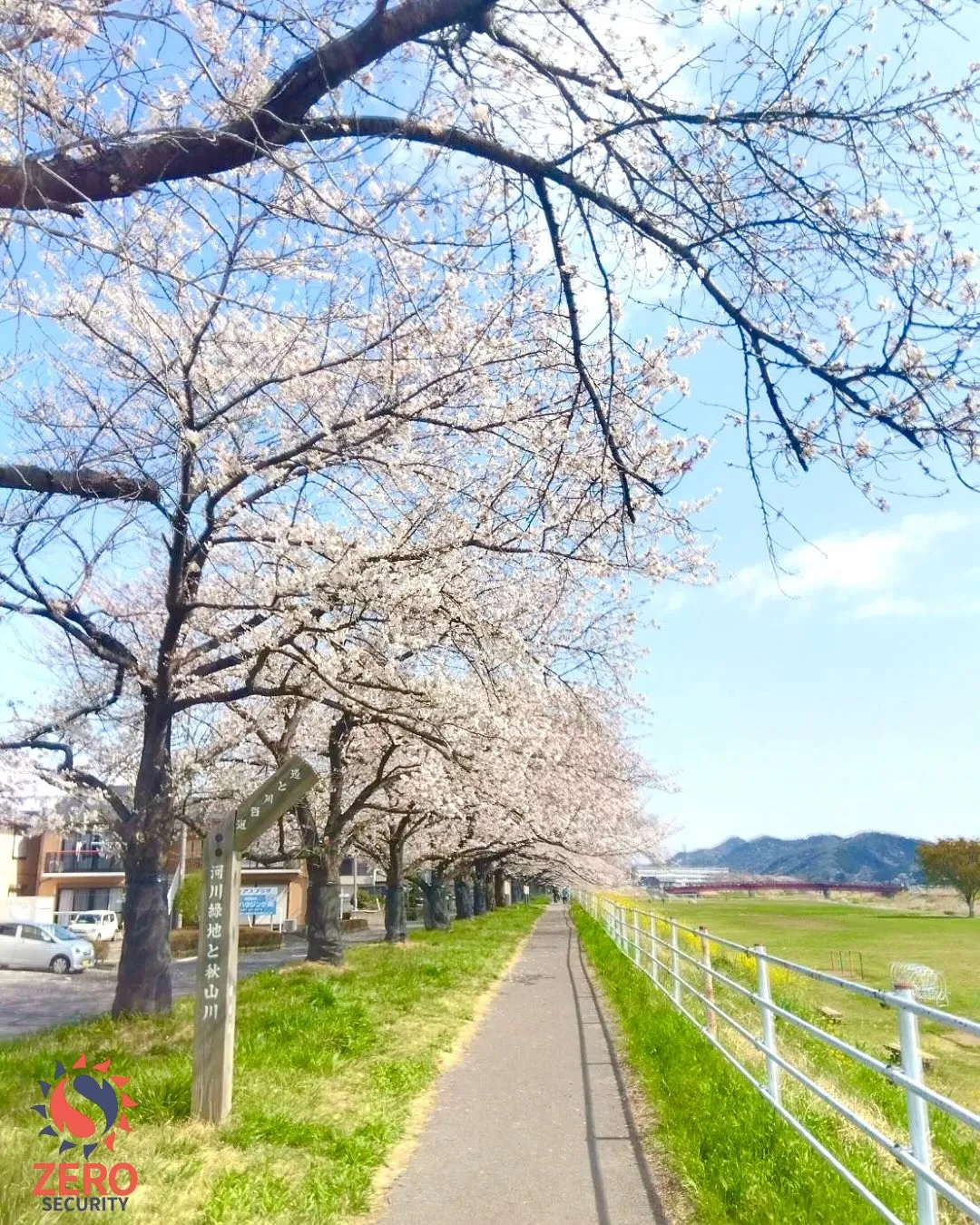 こんにちは☁️˖ ࣪⊹