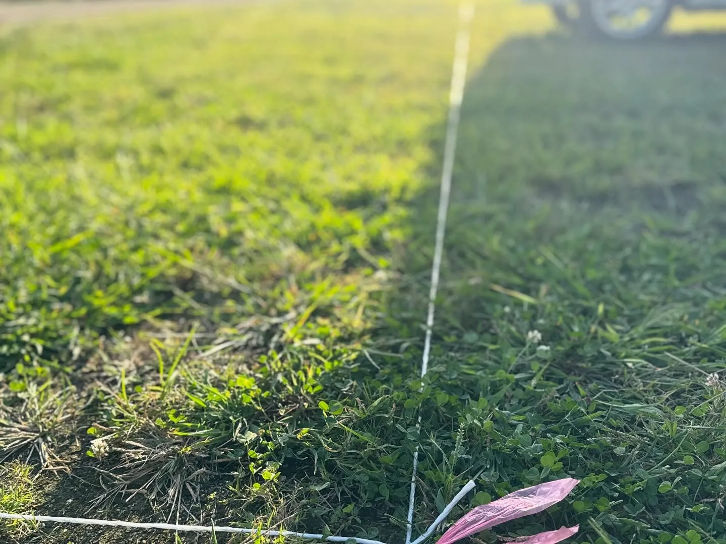 皆さんこんにちは😃